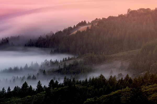 Poster Pemandangan Gunung forest morning foggy misty mountain blue hour 4k 8k WPS