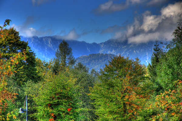 poster pemandangan alam gunung Mountains HDR Trees 1Z