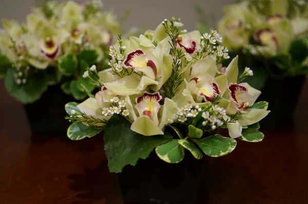 Hiasan Dinding Anggrek Bouquets Orchid WPS 003