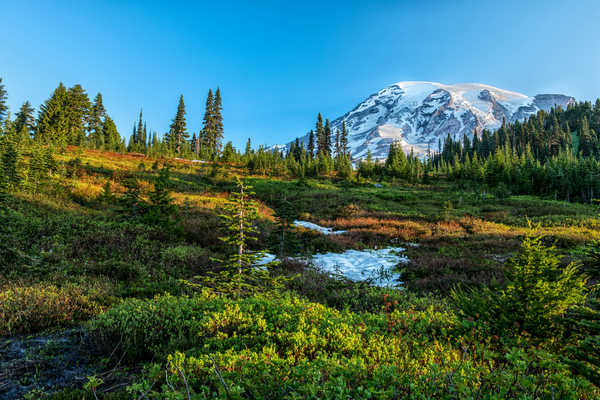 poster pegunungan USA Parks Mountains Mount Rainier National Park 1Z