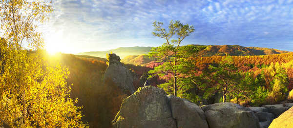 Poster Pemandangan Gunung Ukraine Autumn Mountains Forests Zakarpattia Trees 1Z