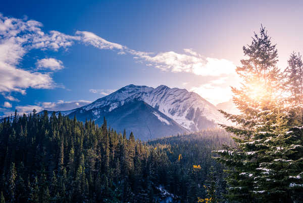 Poster Pemandangan Gunung banff national park mountains forest peak summit sunset WPS