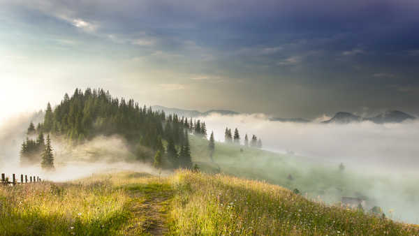 poster pemandangan alam gunung Fog Landscape Mountain Nature Earth Landscape APC