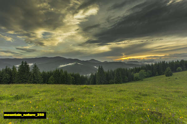 poster gunung mountain 250