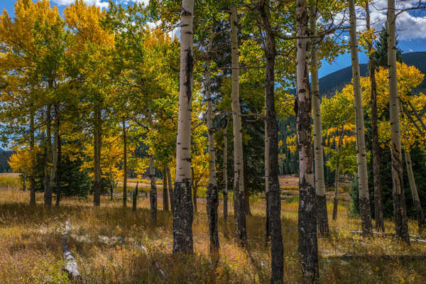 poster pemandangan alam gunung USA Parks Autumn Rocky Mountain National Park 1Z 001