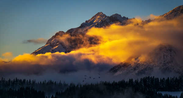 Poster Pemandangan Gunung Austria Cloud Fog Forest Mountain Nature Mountains Mountain APC