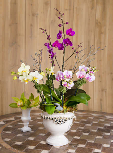 Gambar Poster Anggrek Orchid Wood planks Vase WPS