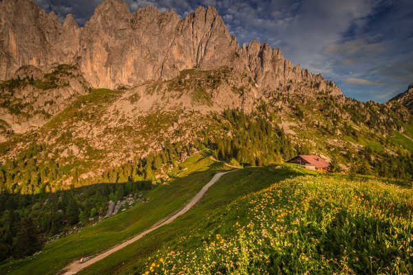 poster pemandangan alam gunung Switzerland Mountains Alps Grass Trail 1Z