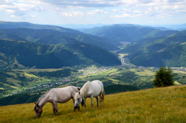 poster gunung Scenery Mountains 1Z 006