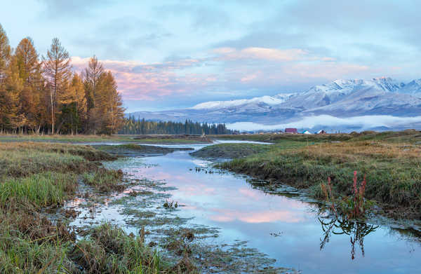 poster pemandangan alam gunung Russia Mountains Forests Altai Grass 1Z