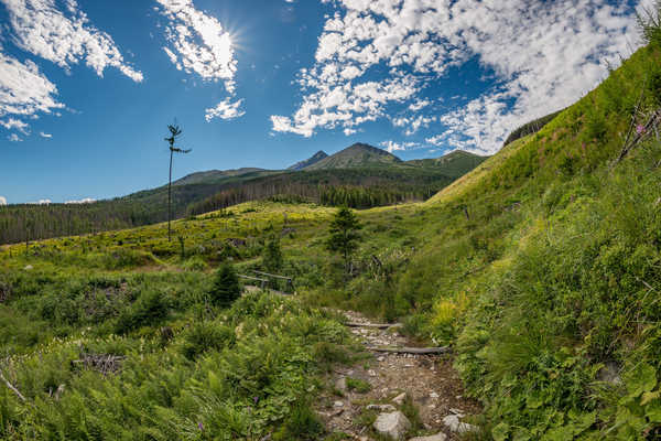 poster pemandangan alam gunung Slovakia Mountains Scenery Tatras Grass Trail 1Z