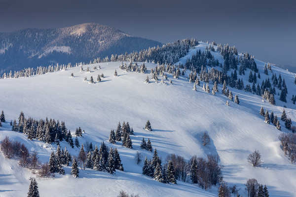 Poster Pemandangan Gunung Slovakia Mountains Winter Donovaly Snow Hill 1Z