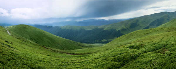 poster gunung Ukraine Mountains Carpathians Grass 1Z