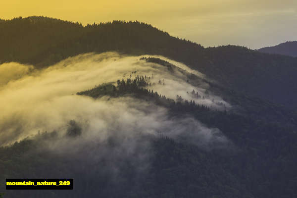 Poster Pemandangan Gunung mountain 249