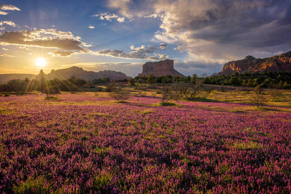 Poster Pemandangan Gunung USA Morning Mountains Grasslands Sky Sedona 1Z