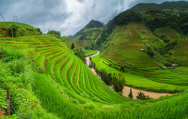 Poster Pemandangan Gunung Vietnam Mountains Fields Rivers Grass 1Z