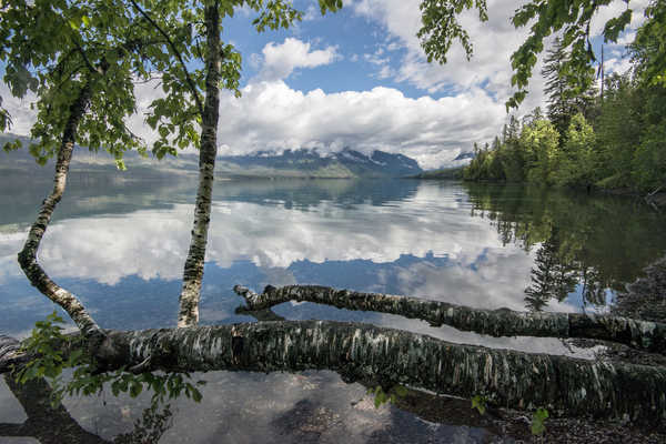 poster pemandangan alam gunung Lake Forests Mountains Parks USA Lake McDonald 1Z