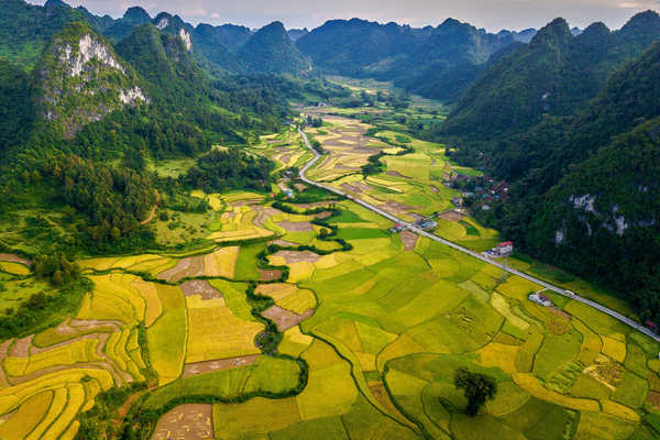 poster pegunungan Field Landscape Mountain Valley Vietnam Earth Landscape APC