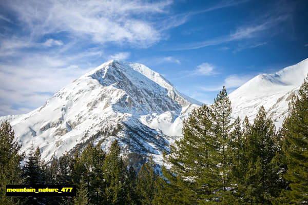 poster pemandangan alam gunung mountain 477