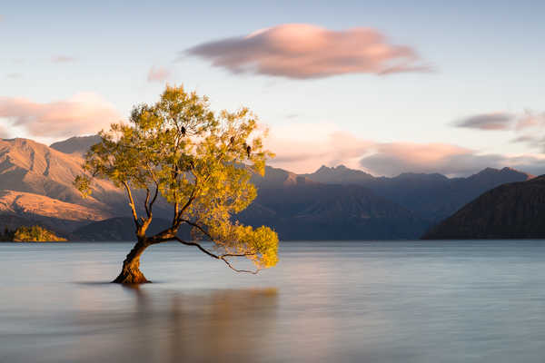 poster pemandangan alam gunung New Zealand Mountains 1Z 002