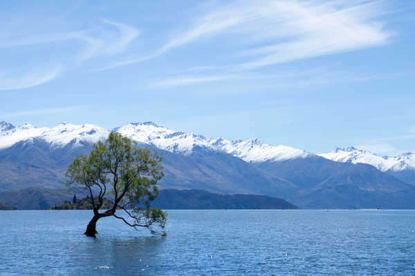 poster pegunungan Lake Mountain Nature Tree Lakes Lake APC