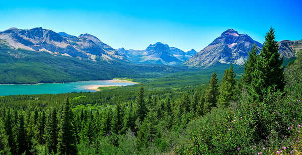 poster pemandangan alam gunung USA Parks Mountains Lake Forests Scenery Glacier 1Z