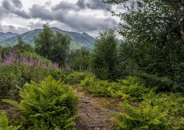 poster pegunungan Alaska Parks Mountains Chugach National Forest 1Z