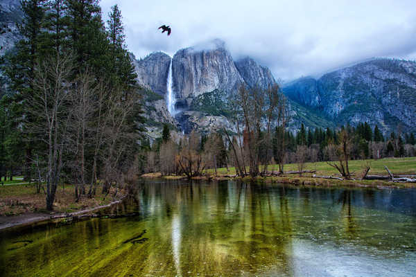 Poster Pemandangan Gunung USA Parks Mountains Lake Birds Scenery Yosemite 1Z