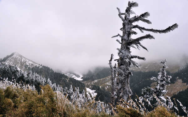 Poster Pemandangan Gunung Mountains Mountain APC 081