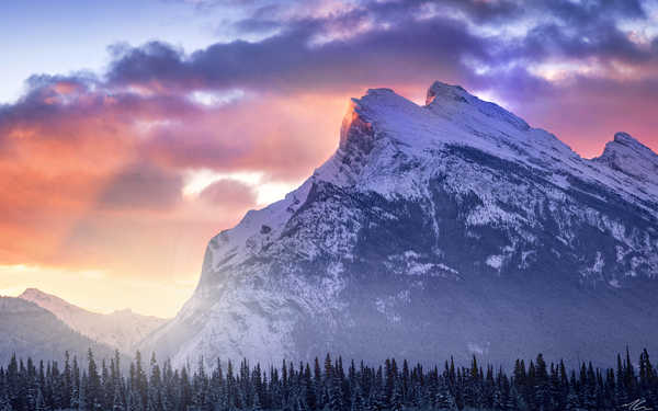 poster pemandangan alam gunung Cloud Pine Snow Sunset Mountains Mountain APC