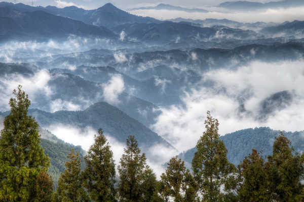 poster gunung Fog Japan Landscape Mountain Spring Earth Landscape APC