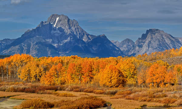 Poster Pemandangan Gunung USA Autumn Parks Mountains Grand Teton National 1Z