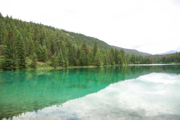 poster gunung Canada Parks Lake Forests Alberta Rocky Mountains 1Z