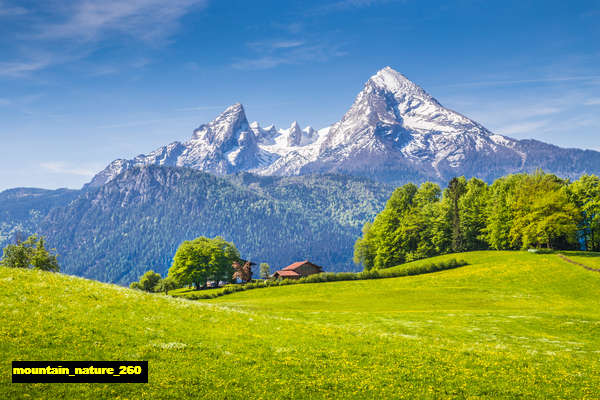 Poster Pemandangan Gunung mountain 260