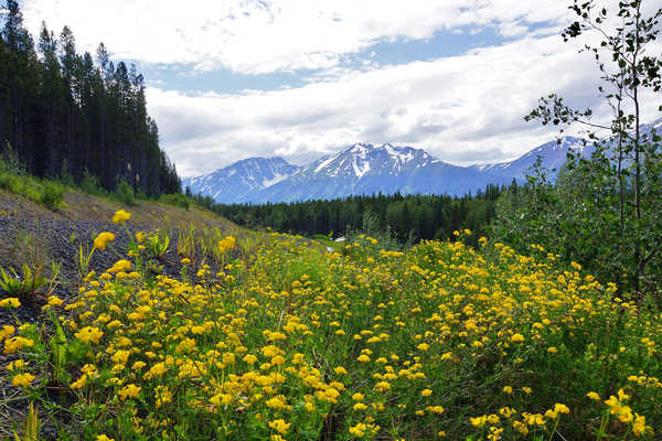 poster pegunungan Canada Scenery Mountains 1Z 001