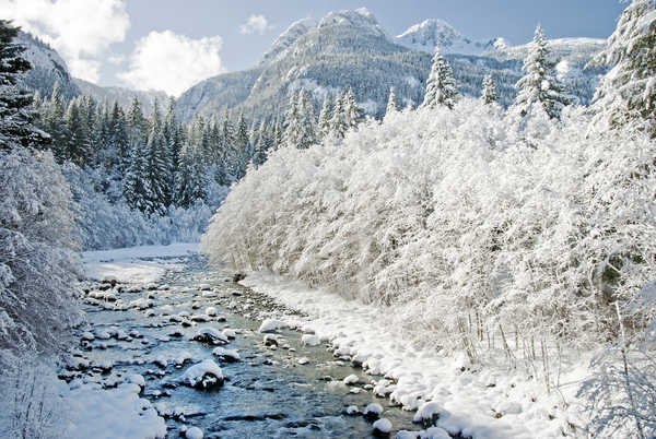 Poster Pemandangan Gunung Forest Mountain River Snow Tree Winter Earth Winter APC