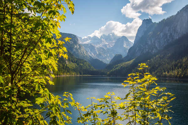 poster gunung Austria Mountains Lake Scenery Dachstein Gosausee 1Z