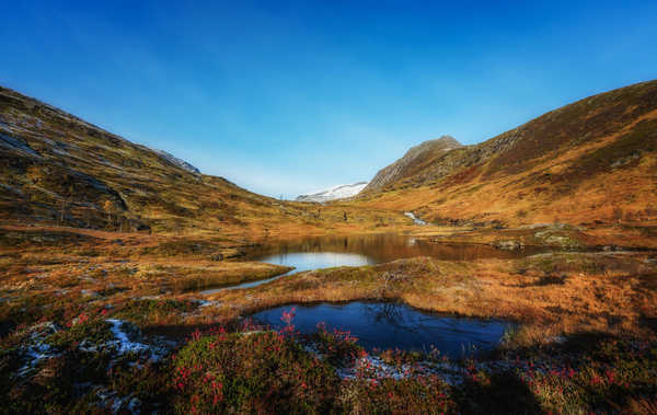 poster gunung Norway Mountains Autumn Lake Sulitjelma Grass 1Z