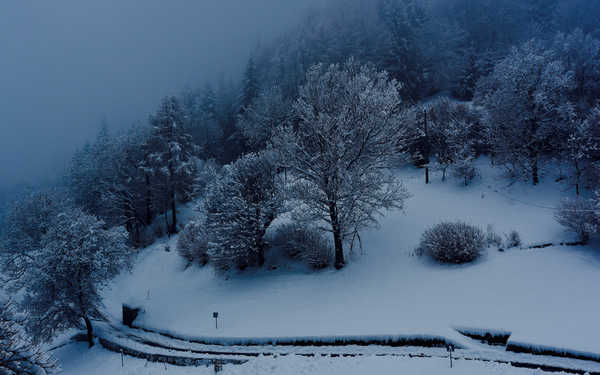 poster gunung Mountain Snow Tree Winter Earth Winter APC 001