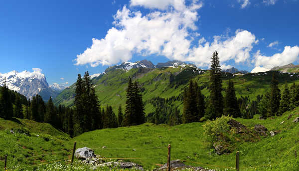 poster pegunungan Switzerland Mountains 1Z 015