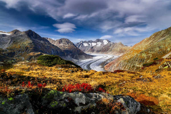 poster pemandangan alam gunung Mountains Switzerland Aletsch Glacier Alps 1Z