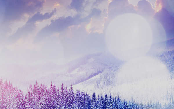 poster gunung winter mountains pine trees lens flare hd 4k WPS