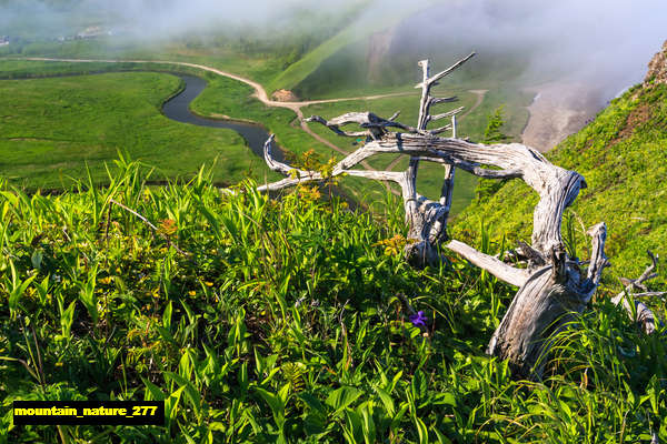 poster pemandangan alam gunung mountain 277