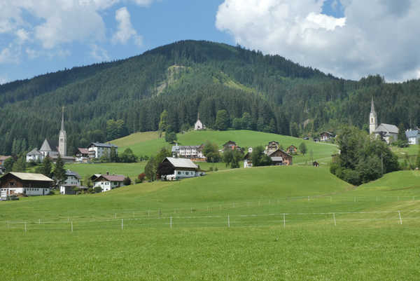 poster pegunungan Austria Mountains Forests Grasslands Houses Alps 1Z