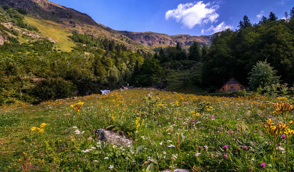 Poster Pemandangan Gunung Spain Mountains Bausen Catalonia Grass 1Z