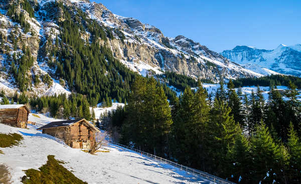 poster pegunungan Switzerland Mountains 1Z 008