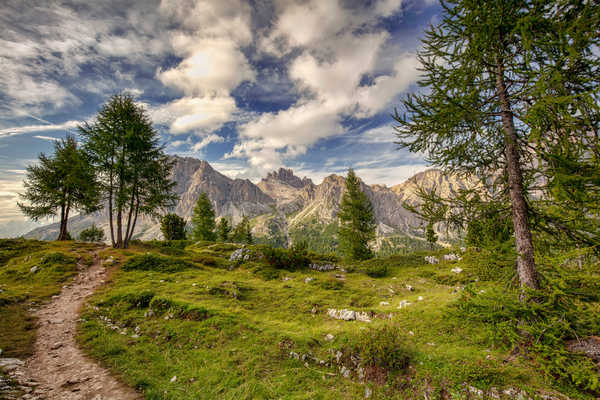 poster gunung Italy Mountains Falzarego Dolomites Clouds Trees 1Z