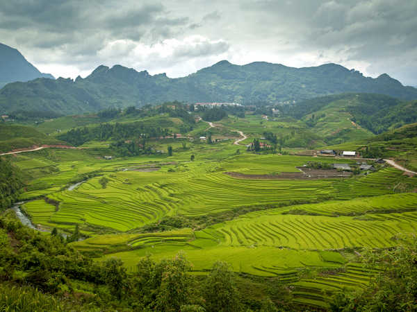 poster pegunungan Fields Vietnam Mountains 1Z