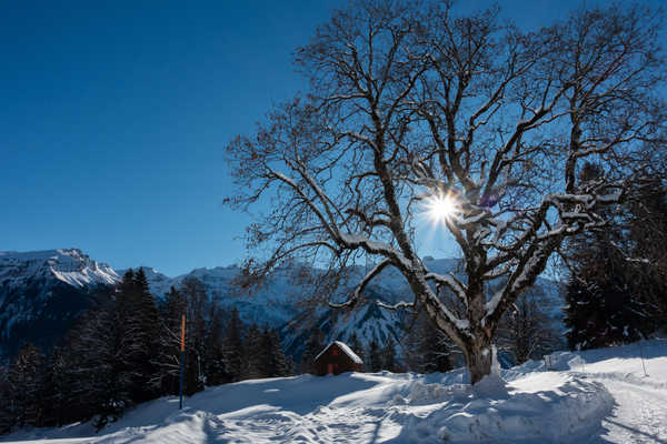 poster pegunungan Switzerland Winter Houses Mountains Braunwald Snow 1Z