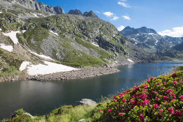 Poster Pemandangan Gunung France Mountains Rivers Rhododendron Ariege 1Z